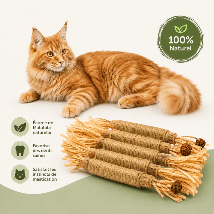 Freeying Matatabi™ – Cepillo Dental Natural para Gatos