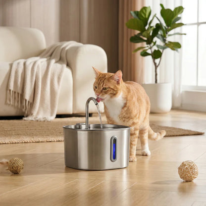Freeying™ · Fuente de acero para gatos