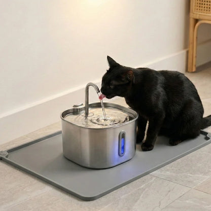 Freeying™ · Fuente de acero para gatos