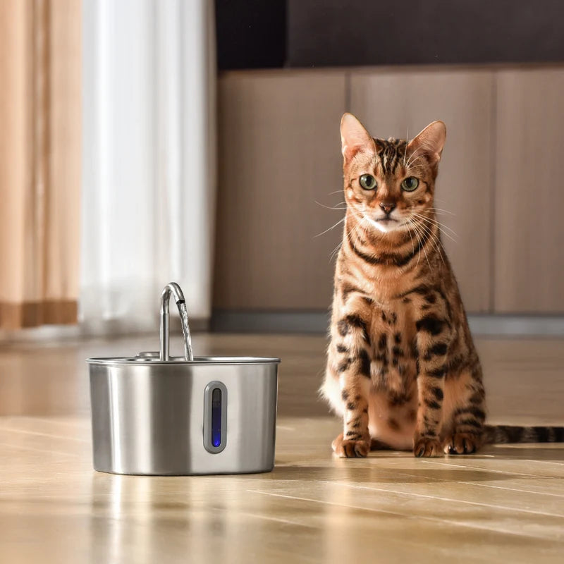 Freeying™ · Fuente de acero para gatos