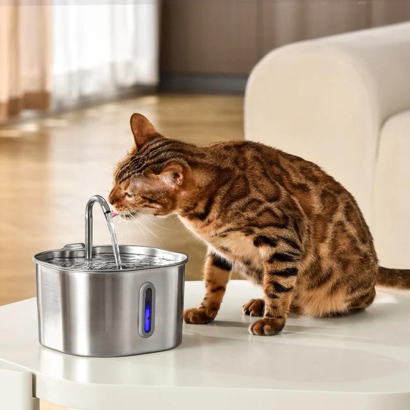 Freeying™ · Fuente de acero para gatos