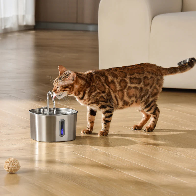 Freeying™ · Fuente de acero para gatos